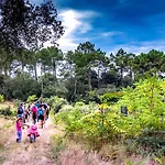 Plaisirs Nature A La Pignade 营地 *