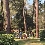 Plaisirs Nature A La Pignade 营地 龙斯莱班