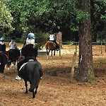 Plaisirs Nature A La Pignade 营地 龙斯莱班