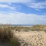 Plaisirs Nature A La Pignade