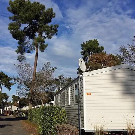 Plaisirs Nature A La Pignade * Ronce-les-Bains