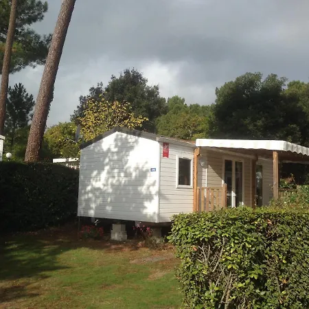 Plaisirs Nature A La Pignade Ronce-les-Bains