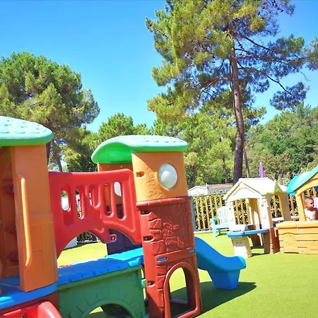 Plaisirs Nature A La Pignade * Ronce-les-Bains