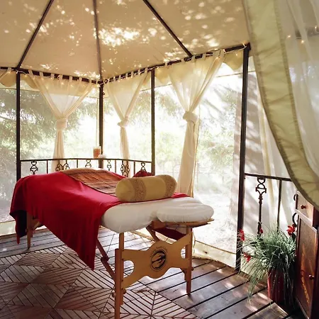 Plaisirs Nature A La Pignade *