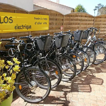 Plaisirs Nature A La Pignade *