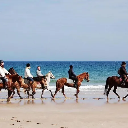 Plaisirs Nature A La Pignade Ronce-les-Bains