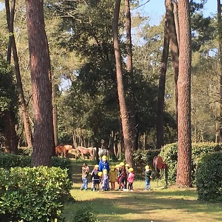 Plaisirs Nature A La Pignade Camping Ronce-les-Bains