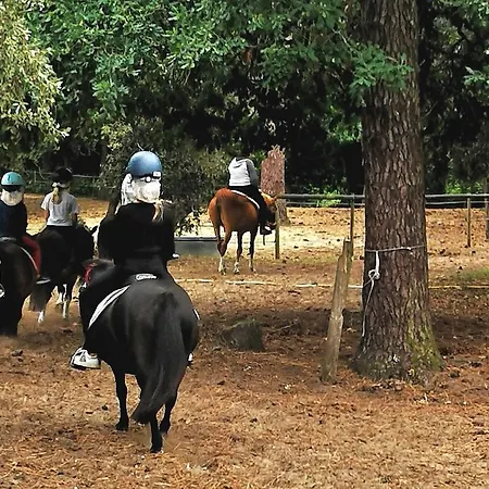Plaisirs Nature A La Pignade Camping Ronce-les-Bains