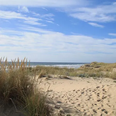 Plaisirs Nature A La Pignade