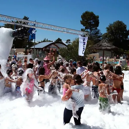 Plaisirs Nature A La Pignade *